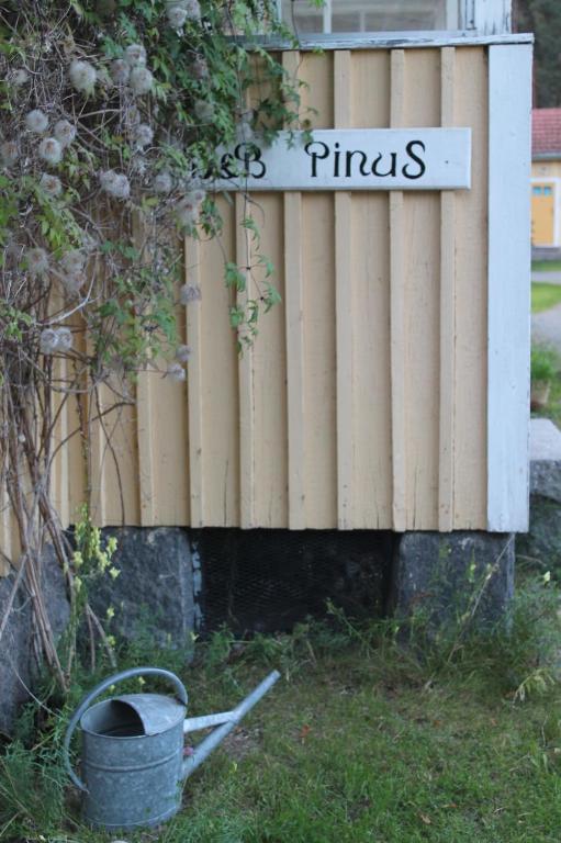 Mäntyharju B&B Pinus מראה חיצוני תמונה